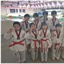 하랑태권도장 이미지