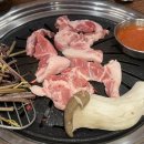 8900이면도야지 이미지