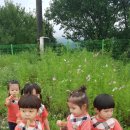 오하농장 이미지