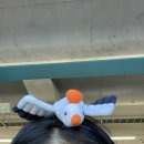 김밥천국 형곡 | 열세번째 주간일기_추석
