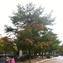 구로리공원 이미지