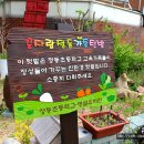 정동초병설유치원 이미지