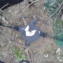 우승농장 이미지