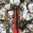 형진수산 이미지