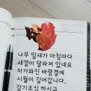 🍁 대한민국은 행복과 불행의 표본 외4 건 [김대환회장님의 카톡에서] 이미지