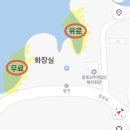 수전매운탕 | 삼척 장호항 숙소 케이비치 가족 펜션 | 장호해수욕장 도보 1분 내돈내산 후기