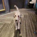 비주얼짐 PT 매교인계점 이미지