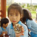 부강유치원 이미지