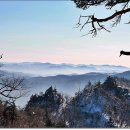 논실 Daum카페