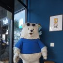 알라스카인제주가양역점 | 제주도 협재] 한라봉 빙수가 맛있는 카페 에이블랙(cafe A.BLACK)