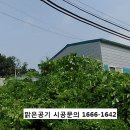 영진농산