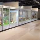 새마을운동테마공원 전시관 이미지