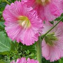 규화농장 이미지