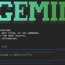 웹프로그래밍-비주얼 베이직 6 기본에서 활용까지 | Gemini CLI (1) - CLI 명령어 기본 사용 방법 (Gemini CLI 기초 - gemini 기본 사용 방법)