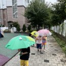 처마에 끝에 떨어진 빗물 모아요☔️💧 이미지
