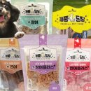 도기스쿨 이미지