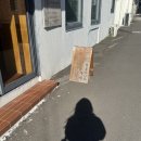 세화약국 | [나와의 시간] 제주도 세화 / 성산 여자혼자 2박3일 여행 코스