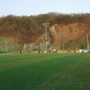 부강생활체육공원 이미지