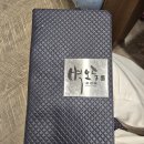 벽오동 이미지