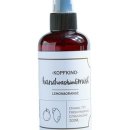 코프키노 이미지