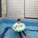 제제펜션 | [경주 가족 숙소 추천] 아이와 가기 좋은 온 수풀, 가족 힐링 여행 제제 펜션