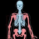 낙성대한의원 이미지