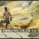 바아엔무이