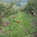 인우농장 이미지