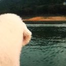 기봉이 농장 이미지