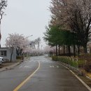 남산안길 이미지