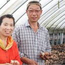 이한영농장 이미지