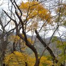 수정식당 이미지