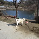 덕고개공원 이미지