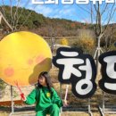 (주)태화강참숯가마 이미지