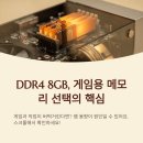 짝PC | DDR48GB, 게임용 메모리 용량 선택에서 차이가 나는 포인트