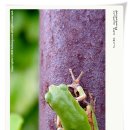 good chance 이미지