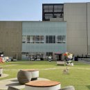 두리애견 이미지