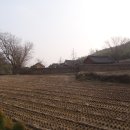 진원면사무소 이미지