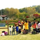 대파니힐링팜 이미지