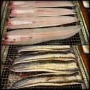 강천민물장어 이미지