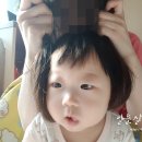 [+201~210일]세상진지/ 혼자놀기/ 계속 놀아줘