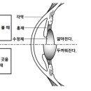 백석안경 이미지