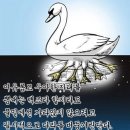 성북펜싱체육관 이미지