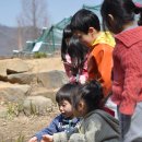 성암어린이집 이미지