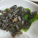 파도초장 이미지