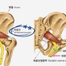 운동사전 이미지