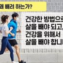 금오핫점핑