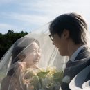 다인플라워 - 안산시 상록구 석호로 166 | [Wedding]13. 픽자스냅 다인 작가님 후기 (with 제주유일, 포튼가먼트, 어밍톤플라워)