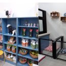 간지나 개 이미지