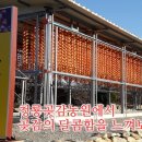 청룡곶감농원